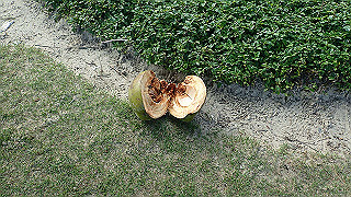 pc193700_thumb.jpg