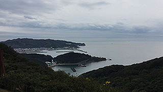 2019-01-15_06-50-48_thumb.jpg