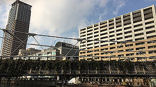 img_2962_thumb.jpg