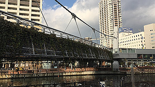 img_2965_thumb.jpg