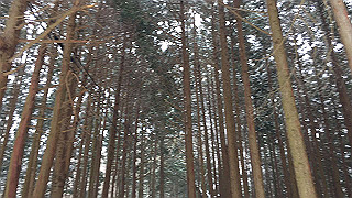 img_3065_thumb.jpg
