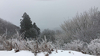 img_3075_thumb.jpg