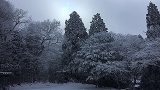img_3078_thumb.jpg