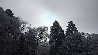 img_3082_thumb.jpg