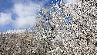 img_3085_thumb.jpg