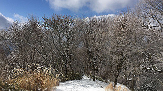 img_3086_thumb.jpg