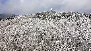 img_3087_thumb.jpg