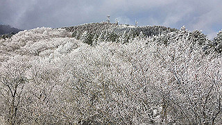 img_3088_thumb.jpg