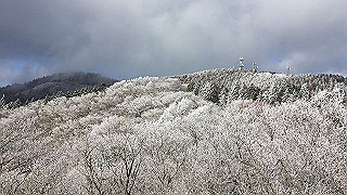 img_3090_thumb.jpg