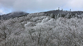 img_3091_thumb.jpg