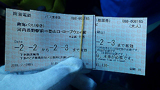 p2020033_thumb.jpg