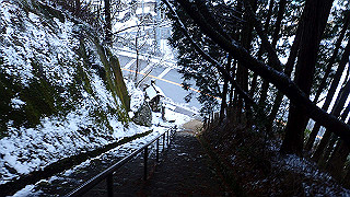 p2020038_thumb.jpg