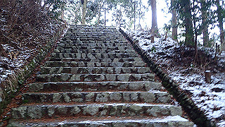 p2020039_thumb.jpg
