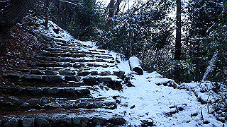 p2020040_thumb.jpg
