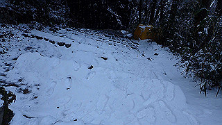 p2020041_thumb.jpg