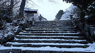 p2020042_thumb.jpg