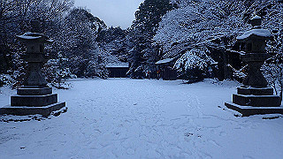 p2020043_thumb.jpg