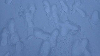 p2020045_thumb.jpg