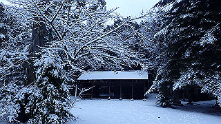 p2020046_thumb.jpg