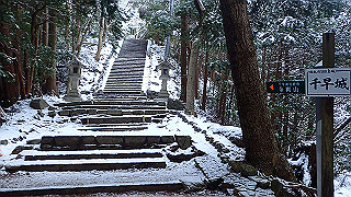p2020048_thumb.jpg