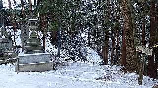 p2020054_thumb.jpg