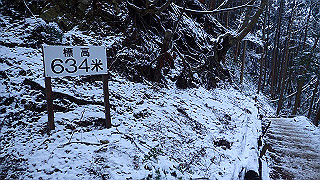 p2020056_thumb.jpg