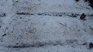 p2020059_thumb.jpg