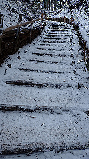 p2020060_thumb.jpg