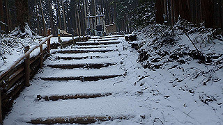 p2020061_thumb.jpg