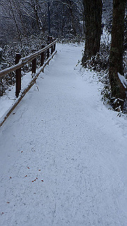p2020068_thumb.jpg