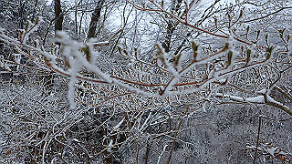 p2020071_thumb.jpg