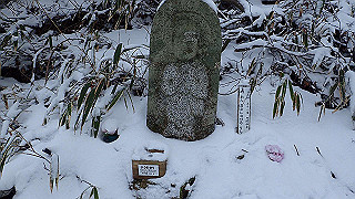 p2020072_thumb.jpg