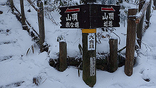p2020074_thumb.jpg
