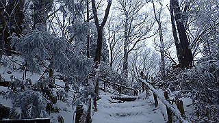 p2020075_thumb.jpg