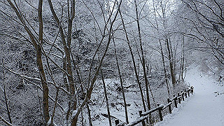 p2020077_thumb.jpg