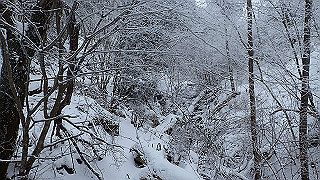 p2020079_thumb.jpg