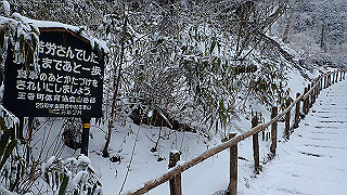 p2020080_thumb.jpg