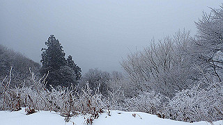p2020082_thumb.jpg