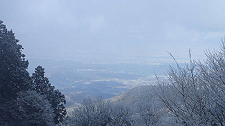 p2020083_thumb.jpg