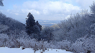 p2020084_thumb.jpg