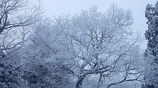 p2020087_thumb.jpg