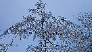 p2020088_thumb.jpg