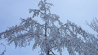 p2020089_thumb.jpg