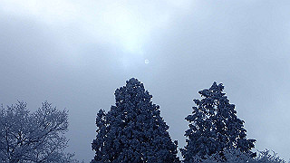p2020092_thumb.jpg