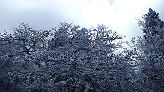 p2020093_thumb.jpg