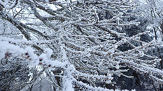 p2020097_thumb.jpg