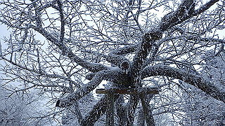 p2020098_thumb.jpg
