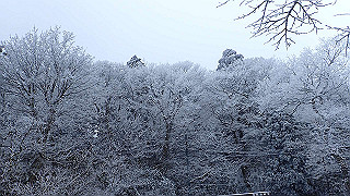 p2020099_thumb.jpg