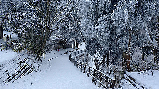 p2020102_thumb.jpg