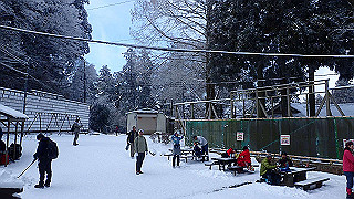 p2020103_thumb.jpg